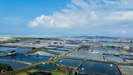 中國農(nóng)業(yè)大學(xué)教授張正河:&ldquo;鍋圈模式&rdquo;有力推進(jìn)農(nóng)村&ldquo;三產(chǎn)融合&rdquo;