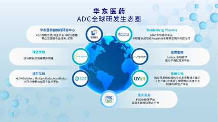 華東醫(yī)藥Heidelberg Pharma股權(quán)投資交易全部完成,加速布局ADC藍(lán)海賽道